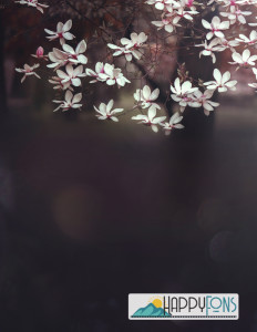 Фотофон виниловый «Маттиола»